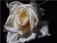 ab0aafa4-P120514_14.04_01.jpg