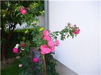 ab0b3d0a-DSC06225.JPG