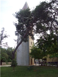 ab32f8e6-101_2104.jpg