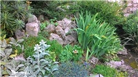 abb612f4-P_20180522_180754.jpg