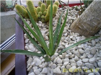abf2cd1b-S4025507.JPG