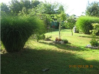 ac55be5d-050.JPG