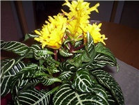 ad082c15-000_0477.jpg