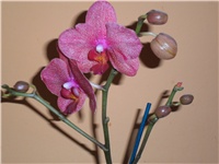 ad723116-SAM_0033.JPG