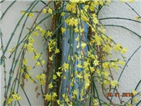 ada1da82-DSCN2595.JPG