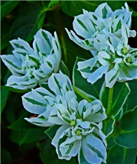 ae456c68-DSC05912.JPG