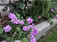 afb0d447-P210614_16.18_03.jpg