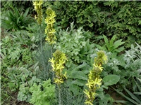 b032b377-DSCI2041.JPG