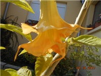 b046c98c-DSCN2276.JPG
