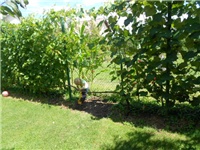 b15e3159-DSCN0952.JPG