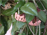 b1d7be43-016.JPG