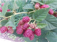b3447d0b-DSCN1018.JPG