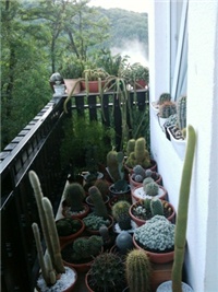 b347e7e0-014.JPG