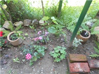 b4232656-DSCN0719.JPG