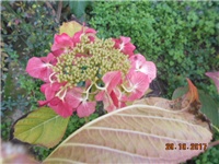 b4572e39-DSCN2343.JPG