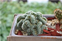 b4b3c57d-subota.038.jpg