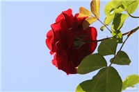 b7928900-IMG_1408.JPG