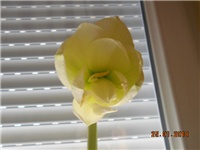 b7d04e68-DSCN2634.JPG