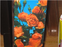b838d62e-060.JPG