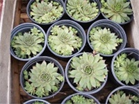 b8a6bb3a-P1010006.JPG