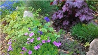 b8bc4ada-P_20180415_113524.jpg