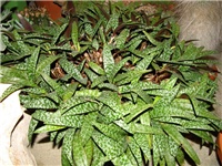b926bc61-IMG_2745.jpg