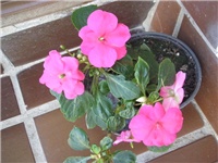 b936c903-PA100405.JPG