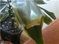 b950cbc5-fotografija0383.jpg
