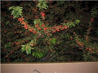 b971f844-IMG_0603.JPG