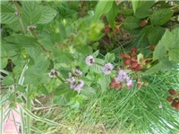 ba03ac9e-DSCN0846.JPG