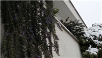 ba124218-20180321_133110.jpg