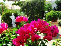 ba7a6423-DSC06127.JPG