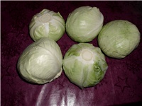 bafed732-DSCI1687.JPG