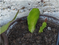 bc44e62c-sshot-2012-07-19-19-33-33.jpg