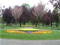 bcbd1872-P1010087.jpg