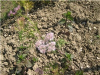 bce343df-IMG_3901.jpg