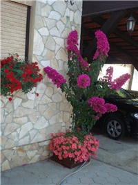 bd6489cd-DSC08103.JPG