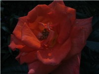 bd679139-IMG_0753.jpg