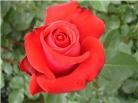 bd6e39ec-P9280016.JPG