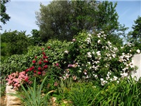bdfed364-IMG_4467.jpg