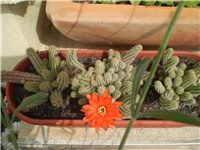 be64f543-P1010018.JPG