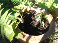 be64f95a-DSCN0677.JPG