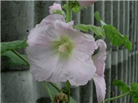 c0479a93-DSCI2162.JPG