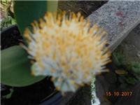 c06fa6ee-DSCN2300.JPG