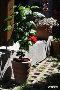 c0907b18-IMG_2172.JPG
