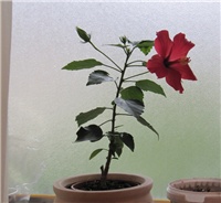 c0b82003-sshot-2012-10-25-12-02-07.jpg