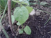 c0fda048-P070514_15.43.jpg