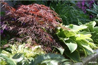 c16828d3-IMG_1441.JPG