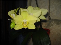 c1d8b8ff-DSC07628.JPG