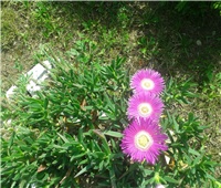 c30b99b6-20140510_153448.jpg